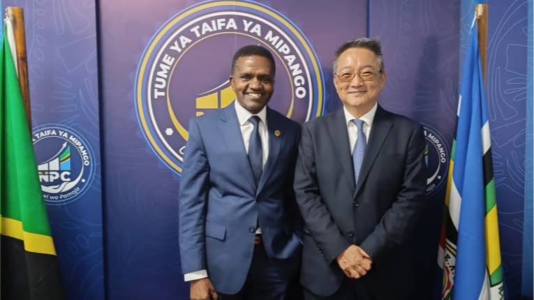 NPC Yaendelea Kushirikiana na UNDP katika Urasimishaji wa Ufadhili Bunifu na Mageuzi ya Kimuundo kwa Utekelezaji wa DIRA 2050